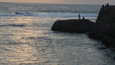 Galle