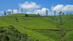 Sri Lanka