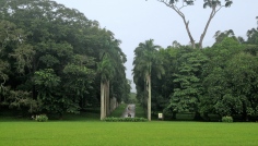 Peradeniya