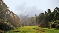 Nuwara Eliya