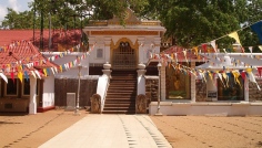 Sri Maha Bodhi