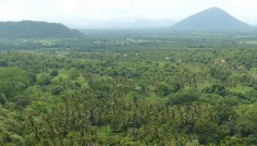 Dambulla