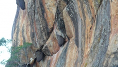 Sigiriya