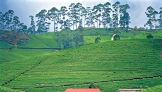 Sri Lanka