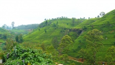 Sri Lanka