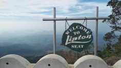 Lipton Seat