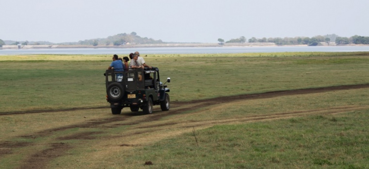 Minneriya NP