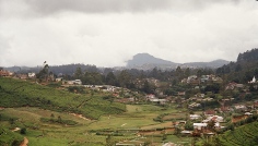 Nuwara Eliya