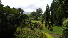 Peradeniya